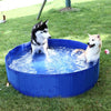 Outdoor Foldable Swimming Pool for kids and pets portable - dogs playing