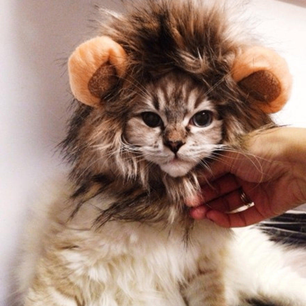 Lion Cat Costme - Atienzza