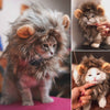Lion Cat Costme - Atienzza